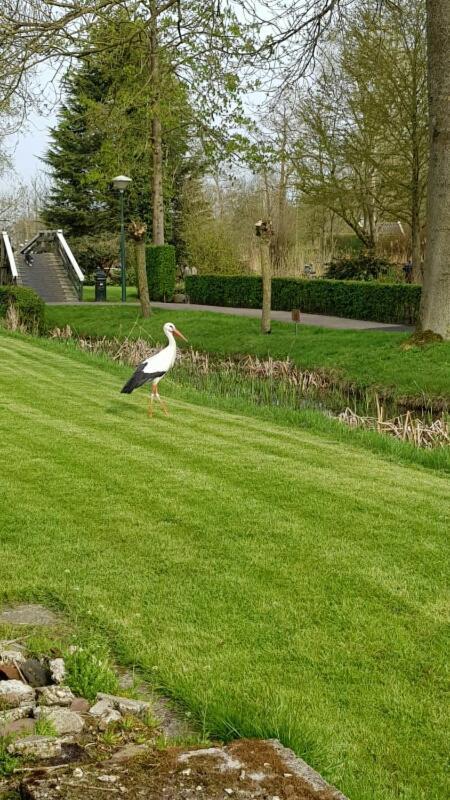 Farmhouse Lodge Giethoorn Exterior photo